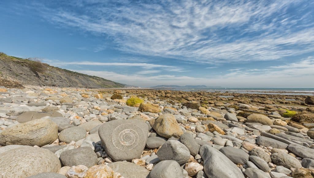 Lyme Regis