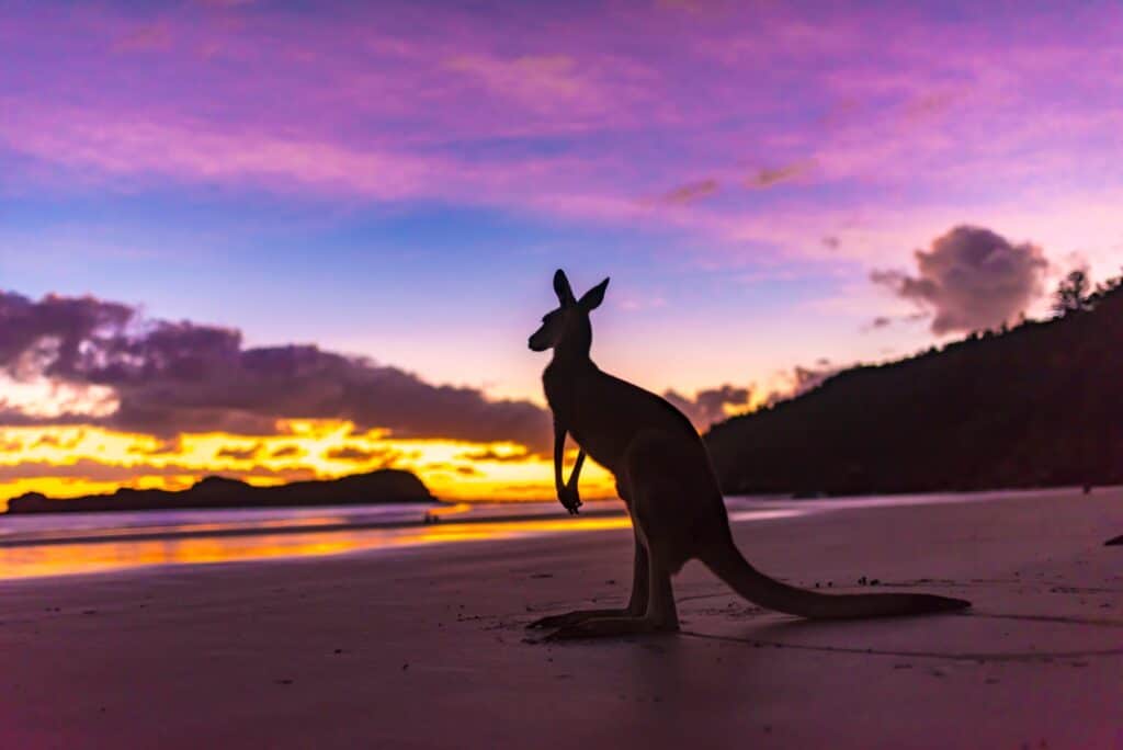Mackay