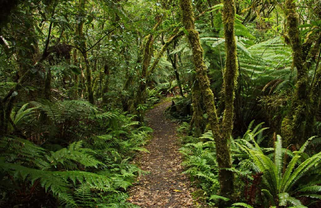 Manawatu-Whanganui