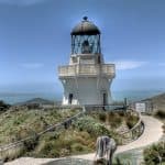 Manukau faro