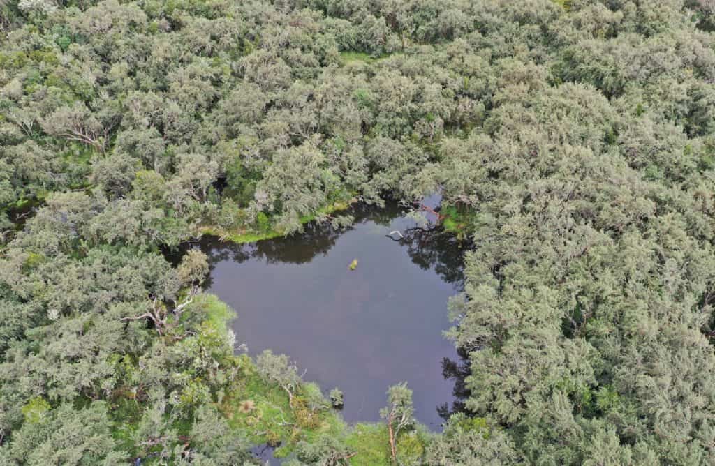 Reserva Natural Maple Lodge