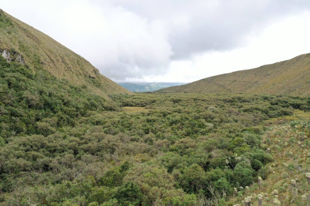 Reserva Natural Maple Lodge