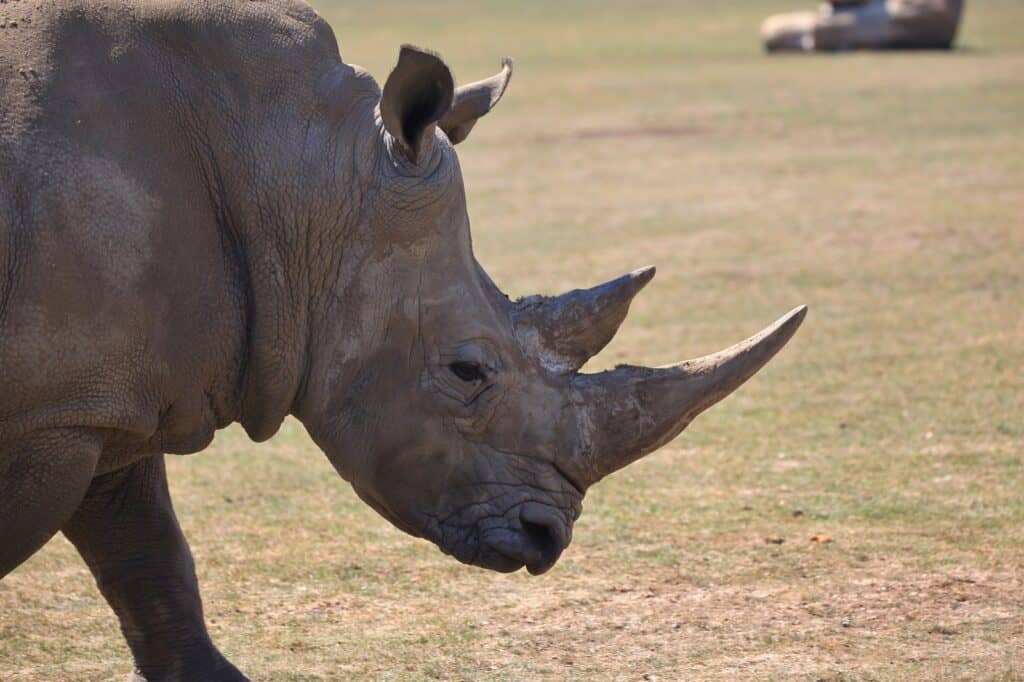 Zoológico de Marwell