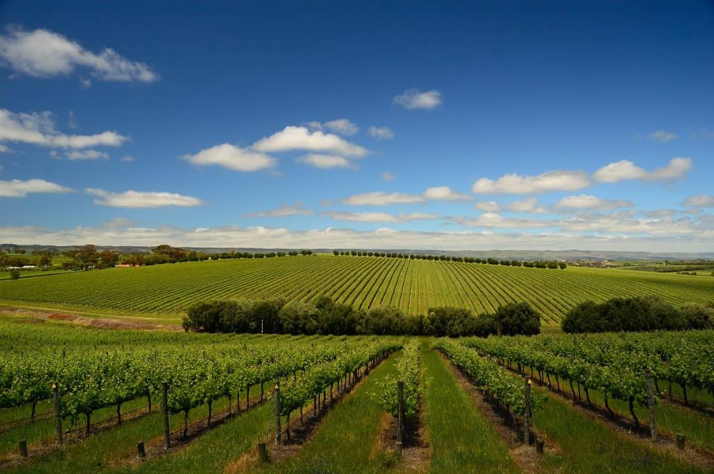 McLaren Vale