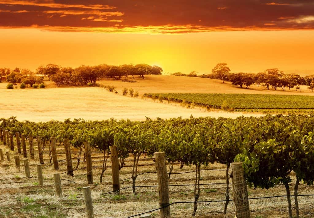 McLaren Vale