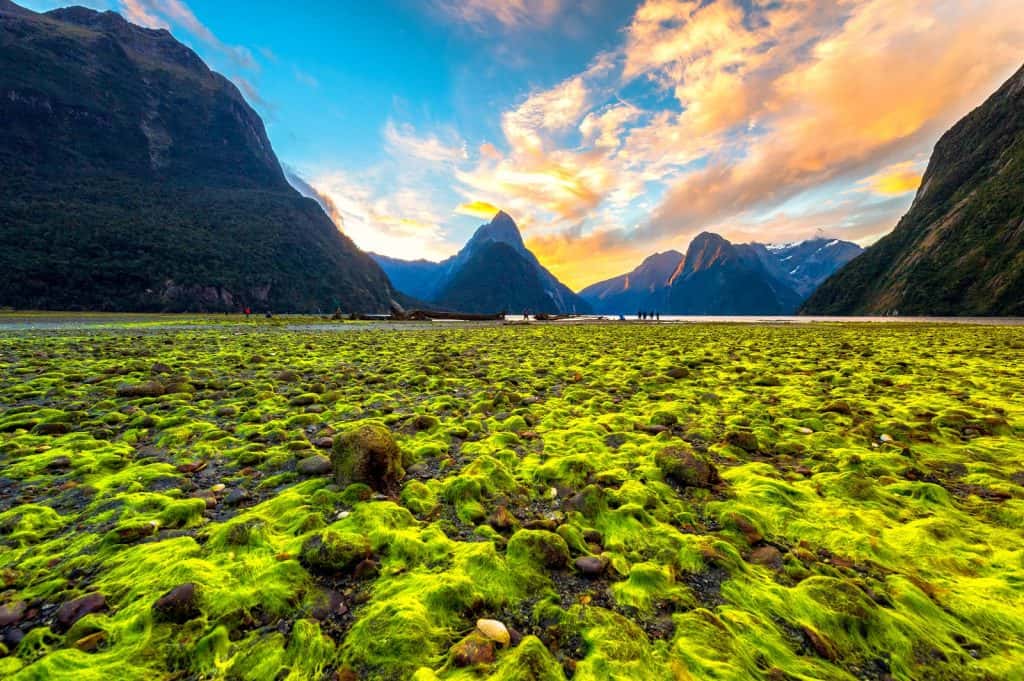 Milford Sound