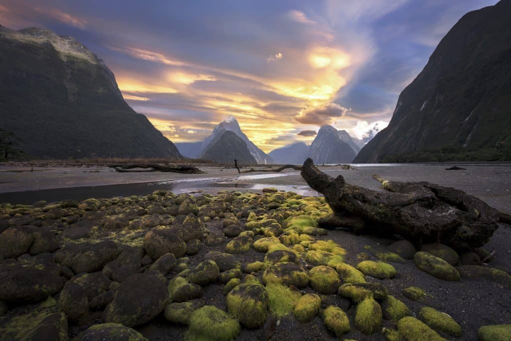 Milford Sound