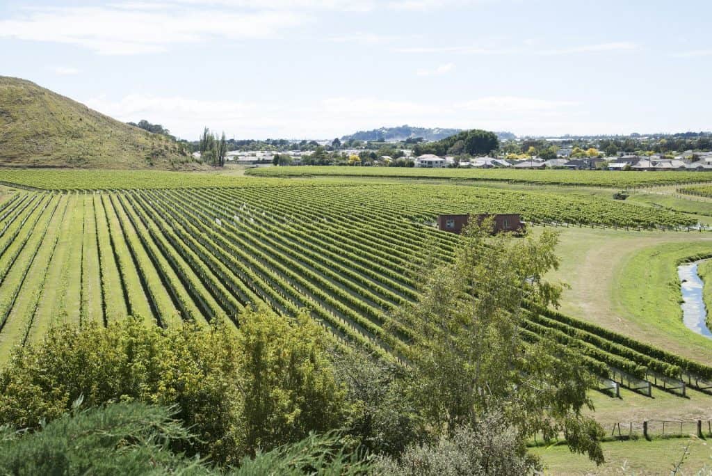 Mission Estate Winery
