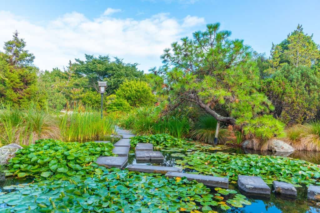 Jardín Japonés Miyazu