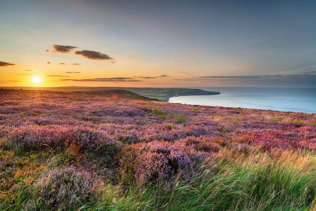 North York Moors