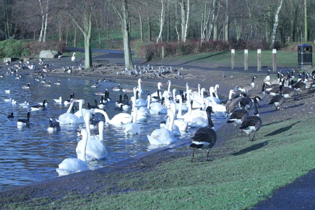Moses Gate Country Park