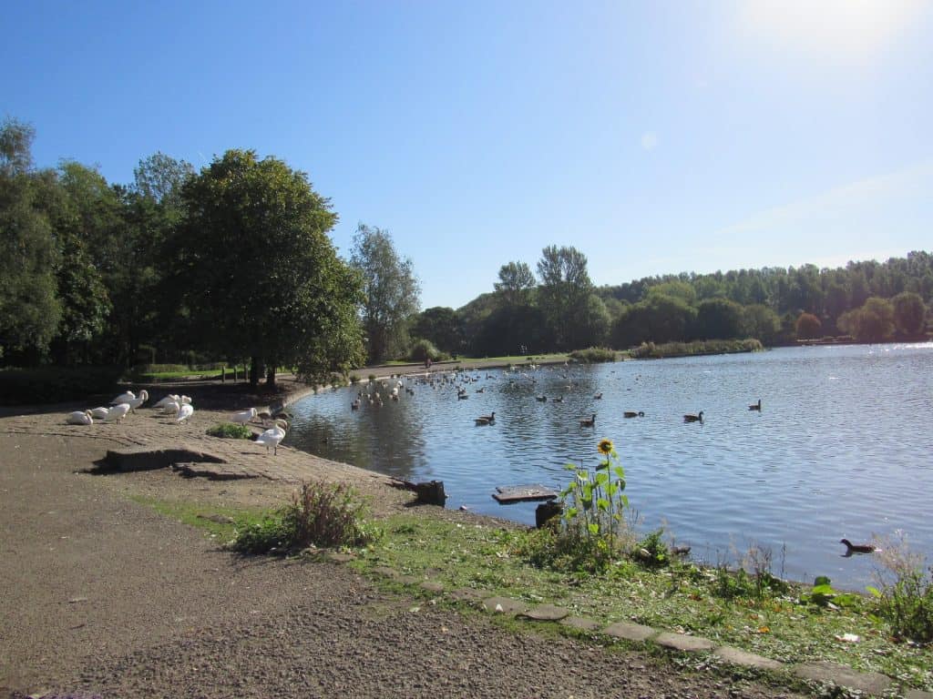 Moses Gate Country Park