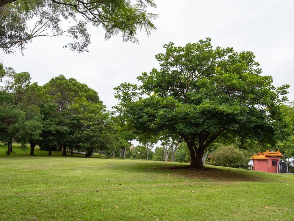 Templo Nan Tien, Wollongong