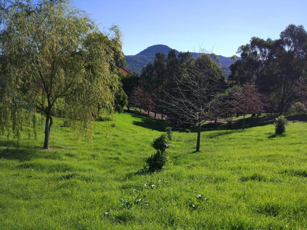 Templo budista, Wollongong
