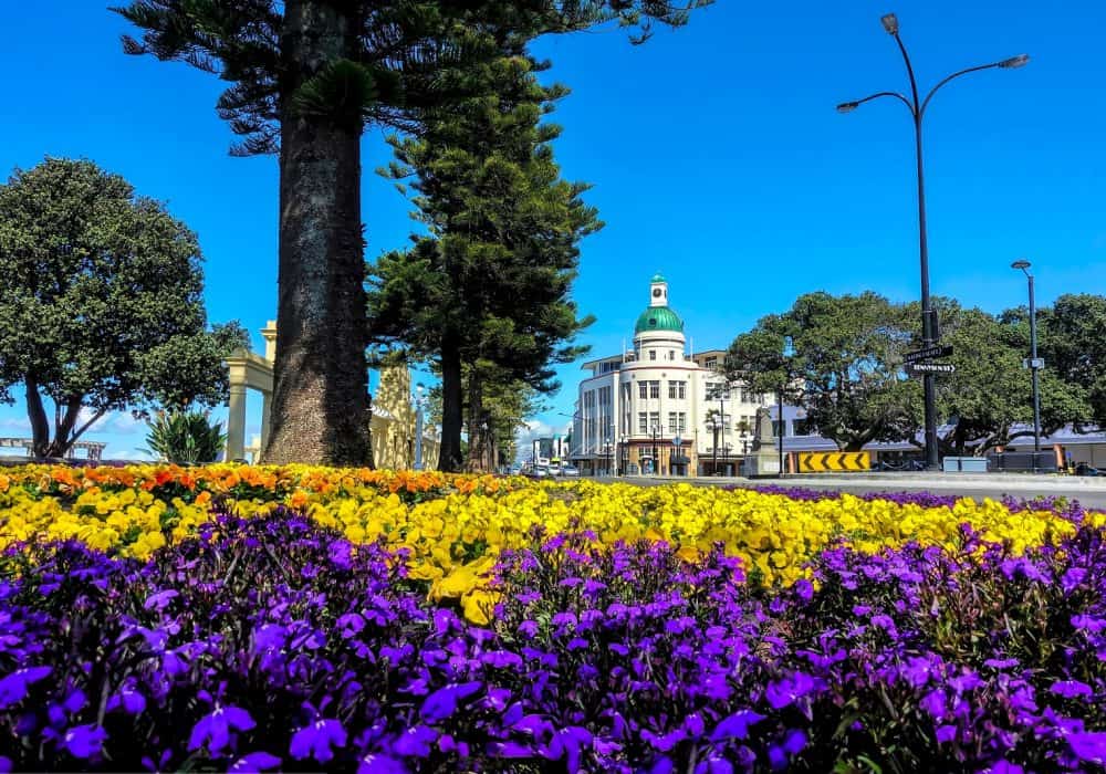 Napier
