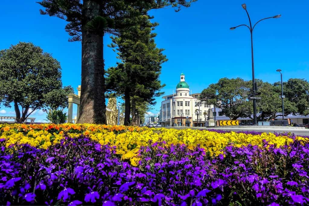 Napier