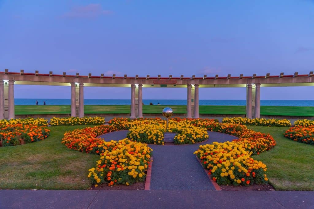 Napier