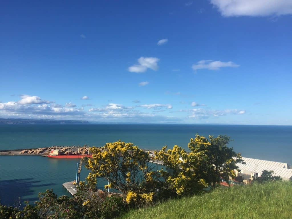 Napier