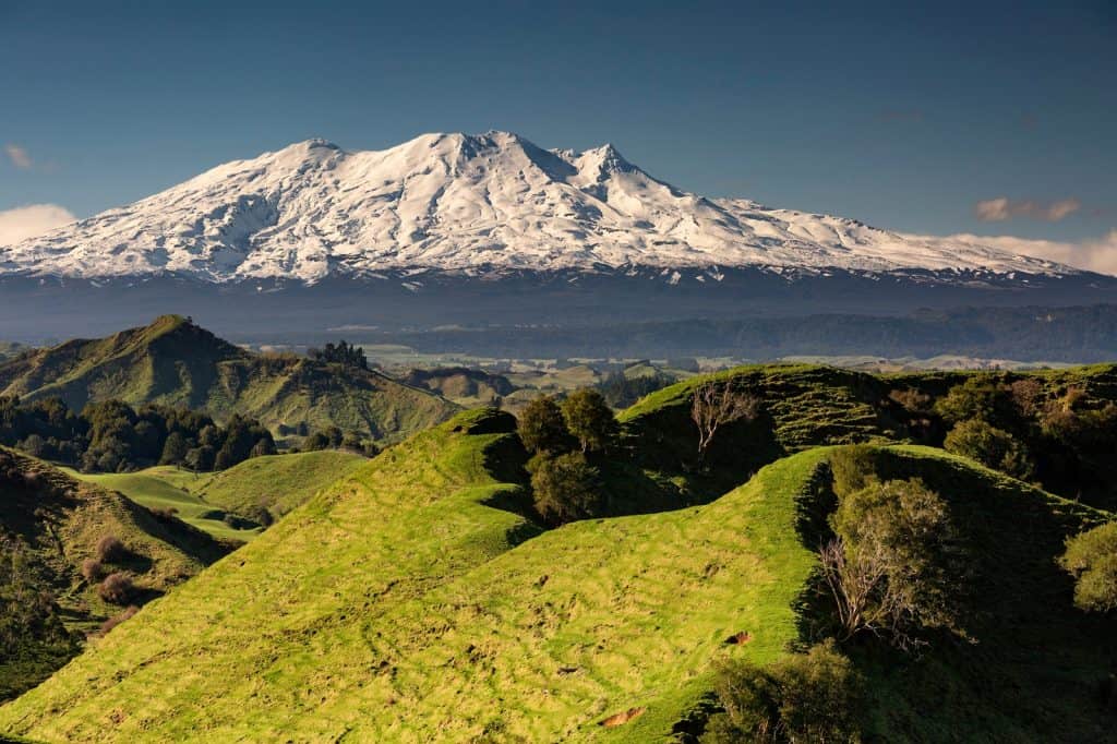 Whanganui National Park