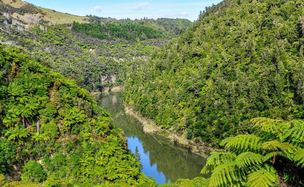 Whanganui National Park