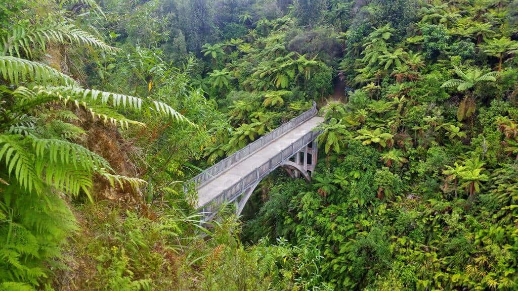 Whanganui National Park