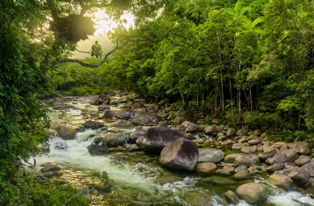 Rainforestation Nature Park