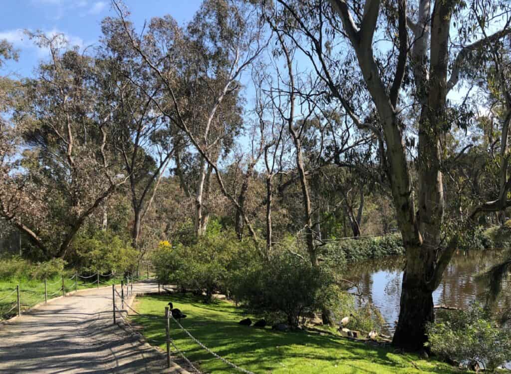 Playa del Parque Noreuil