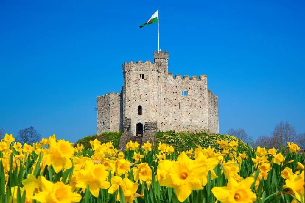 Norman Keep, Cardiff Castle
