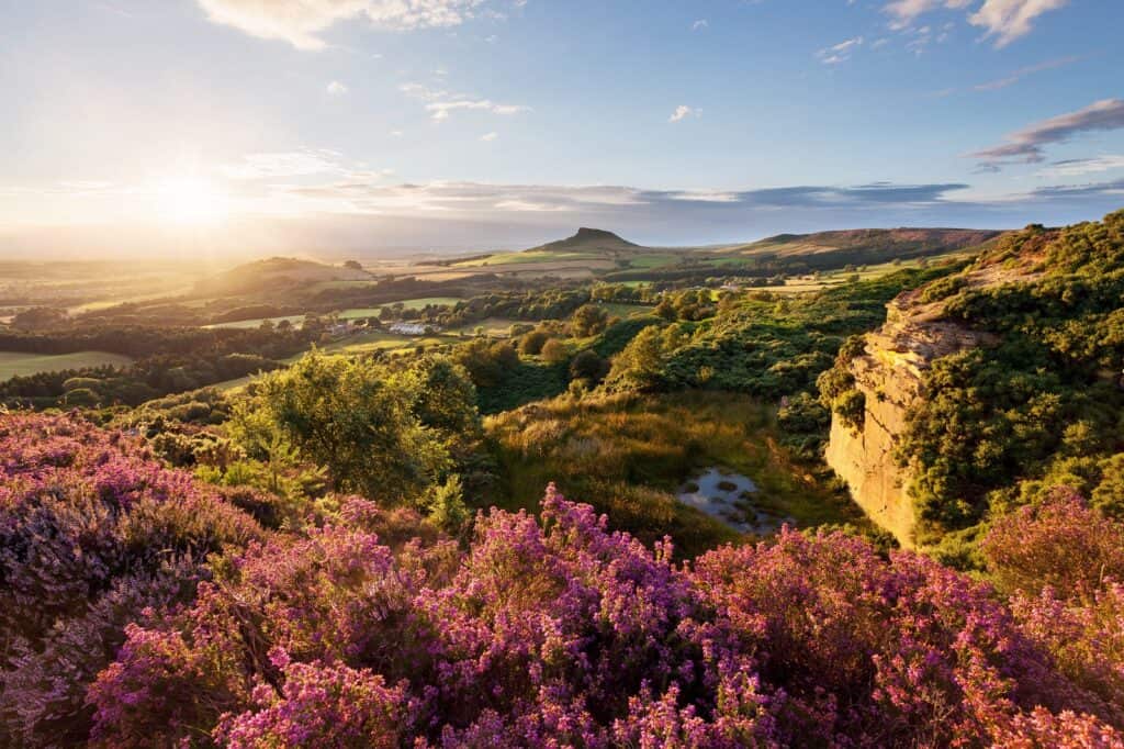 North Yorkshire