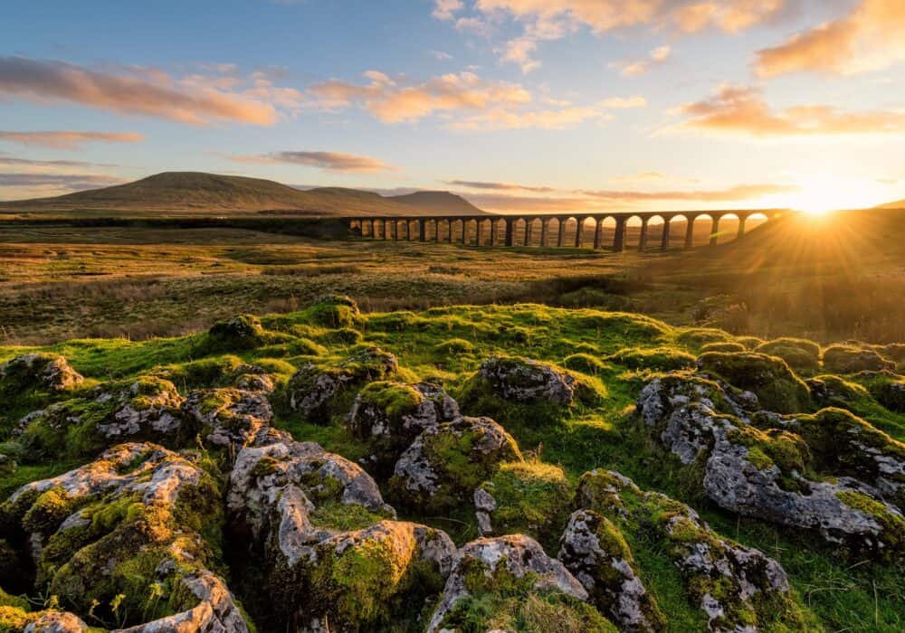 North Yorkshire
