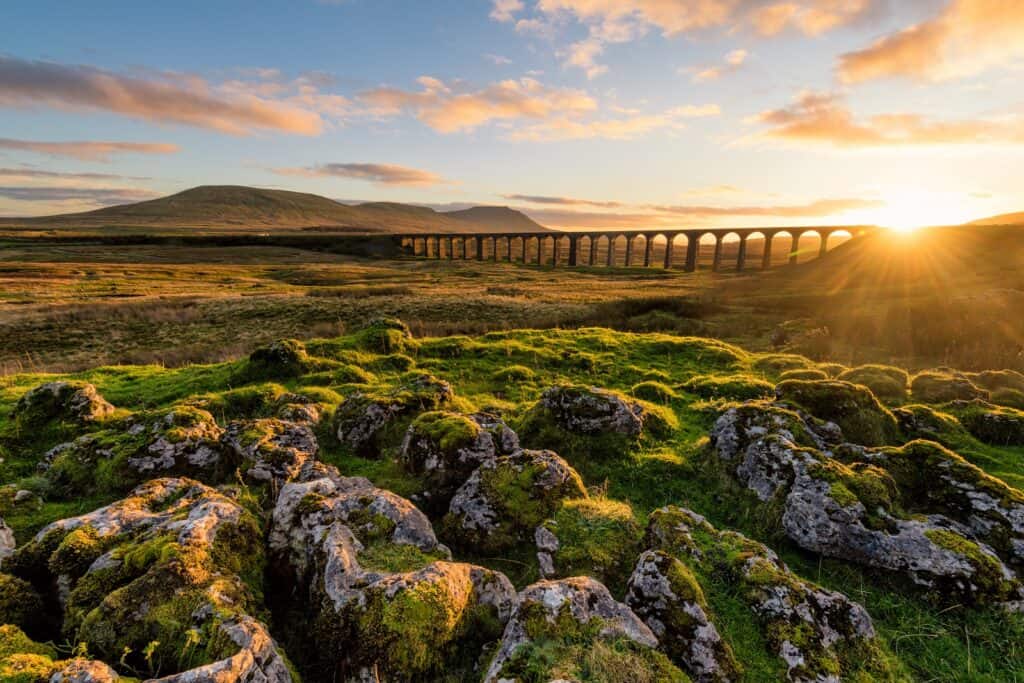 North Yorkshire
