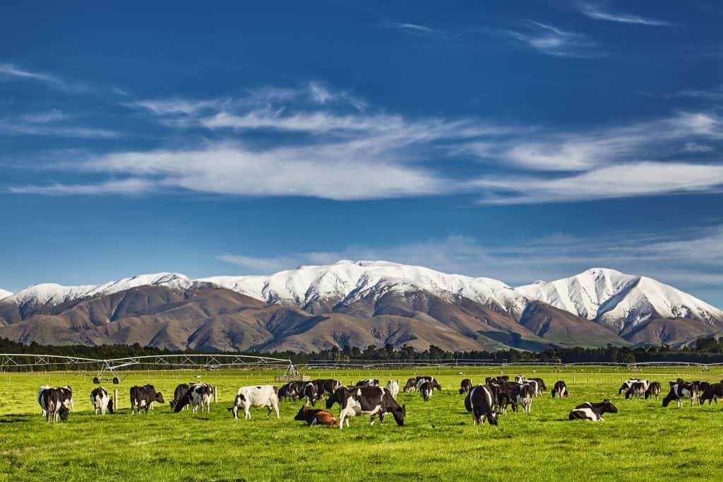 Nueva Zelanda