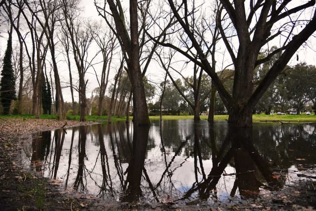 Parque Oddies Creek