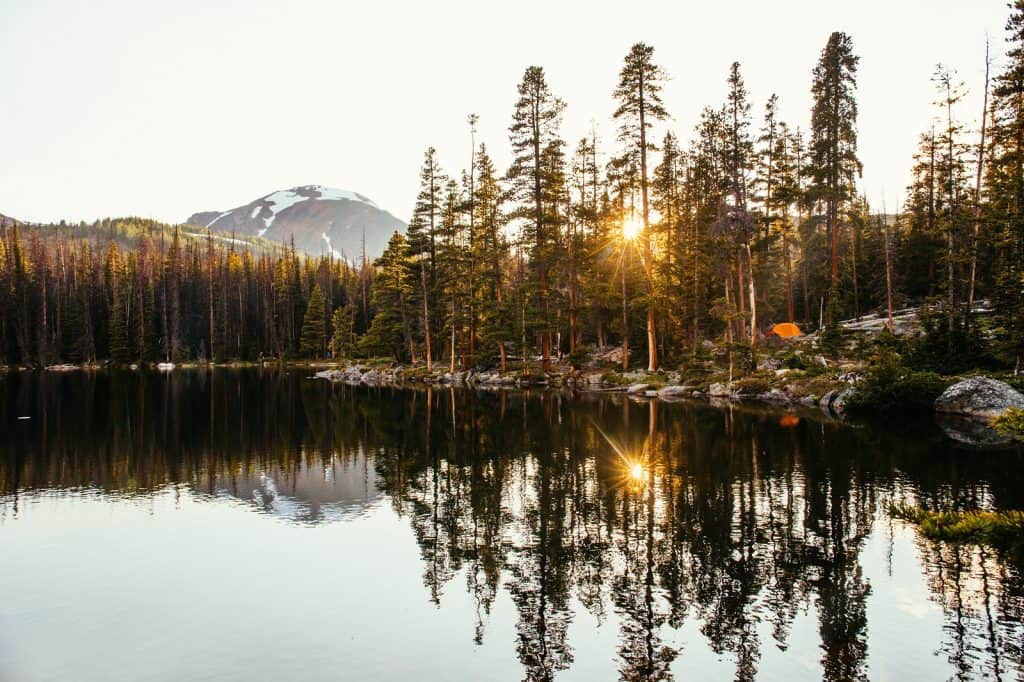 Okanagan Mountain Provincial Park