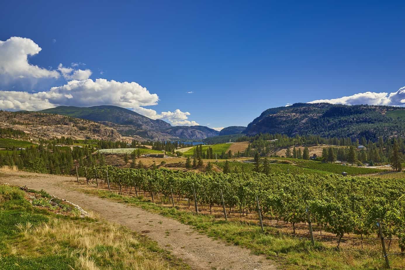 Okanagan College