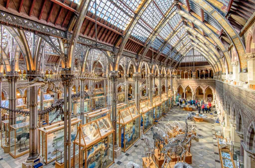 Museo de Historia Natural de la Universidad de Oxford