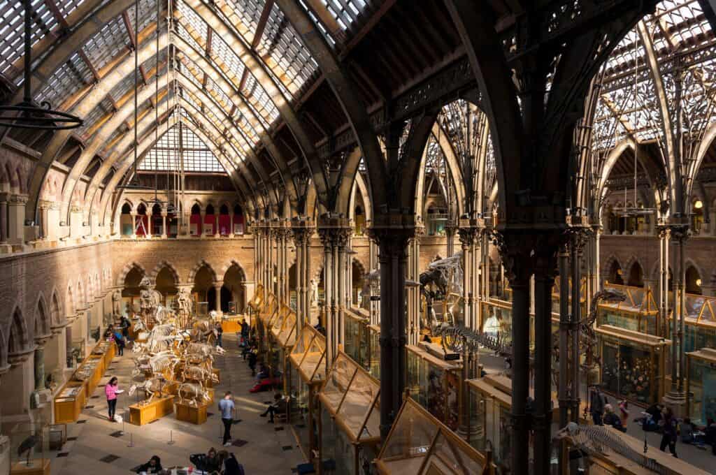Museo de Historia Natural de la Universidad de Oxford