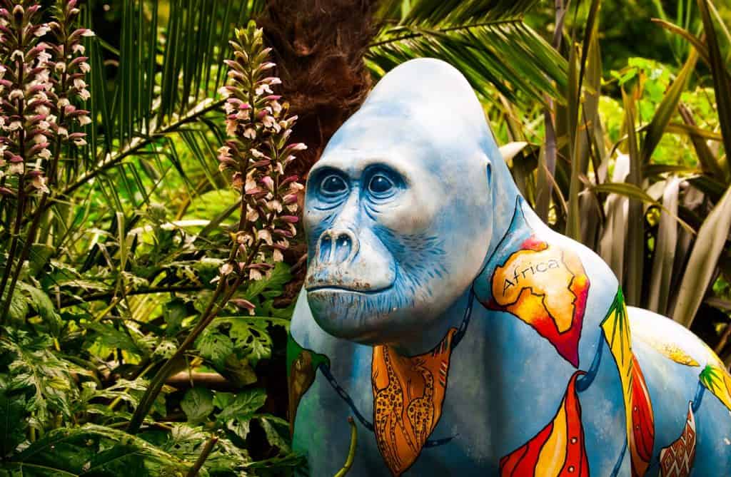 Zoológico de Paignton