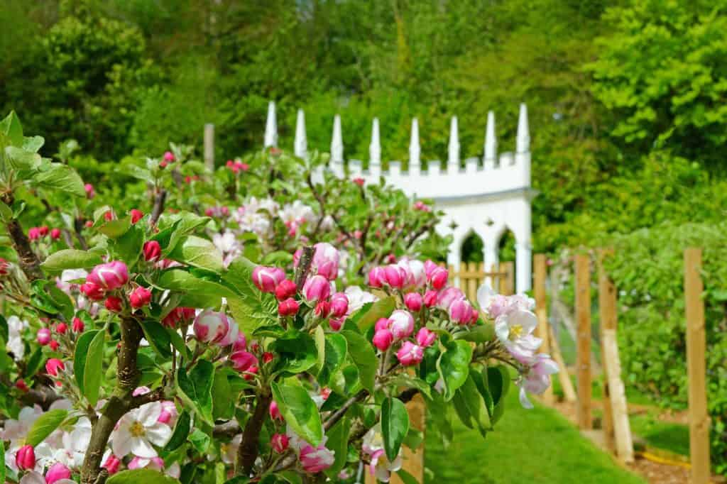 Painswick Rococo Garden
