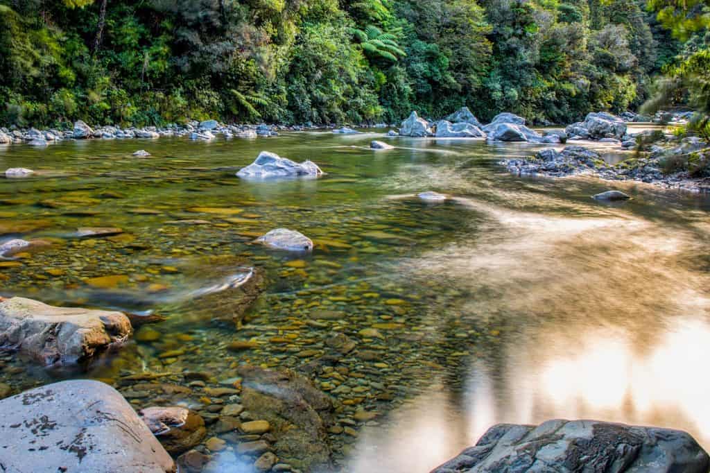 Pakuratahi Forest