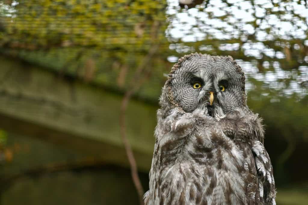 Paradise Wildlife Park