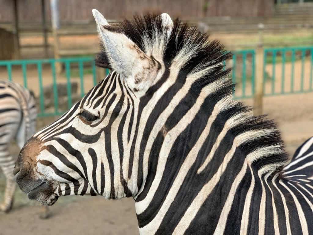 Paradise Wildlife Park