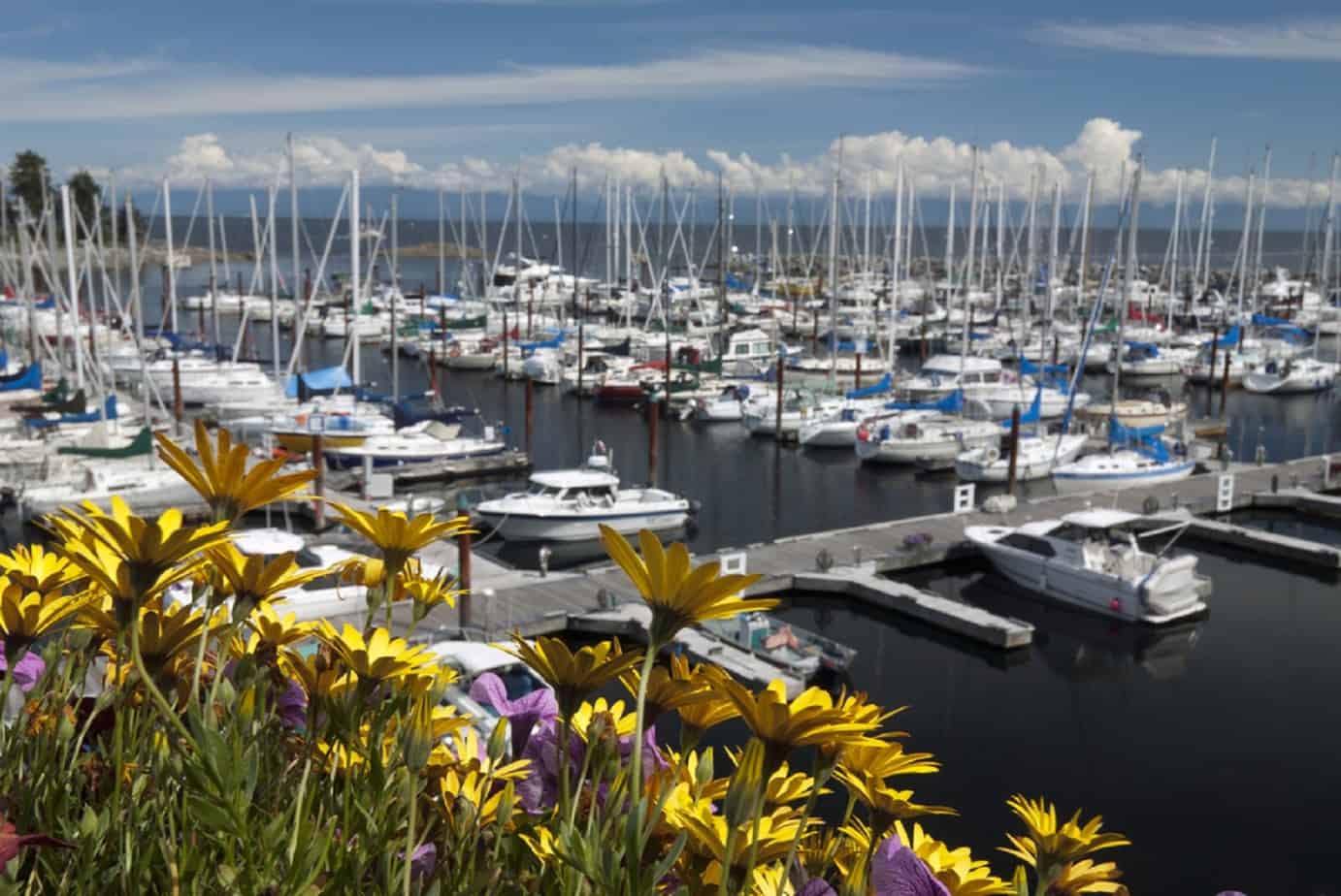 Vancouver Island University