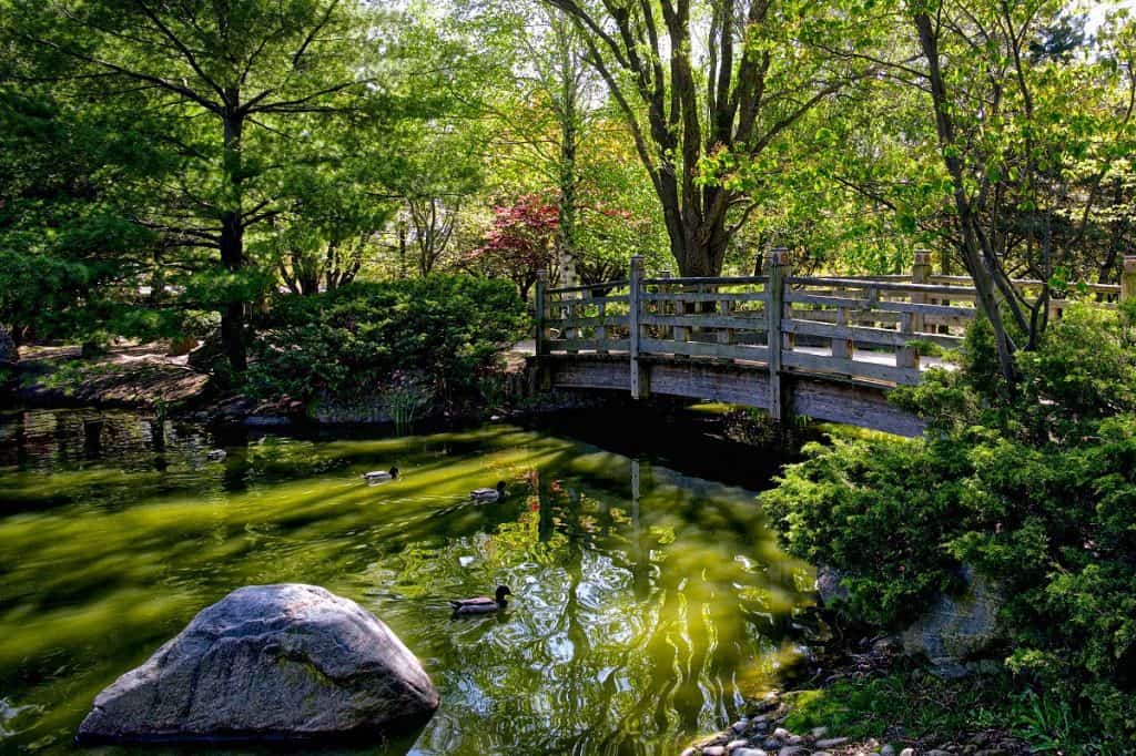 Parque Kariya