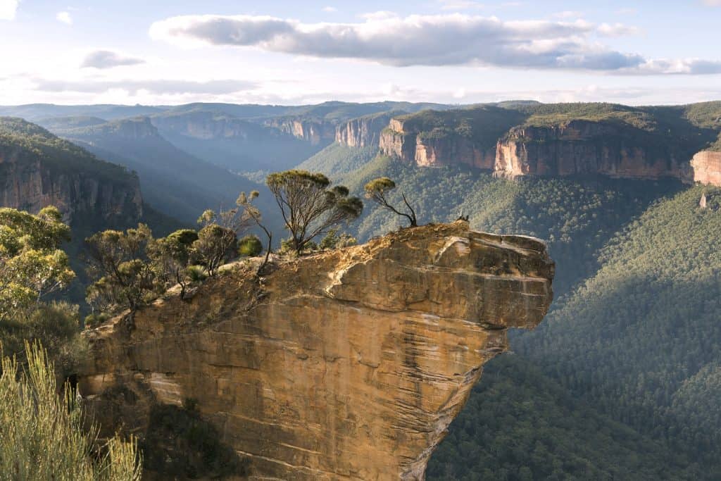 Parque Nacional de las Montañas Azules