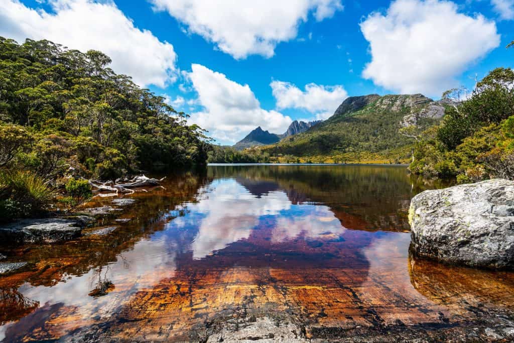 Parque Nacional de las Montañas Azules