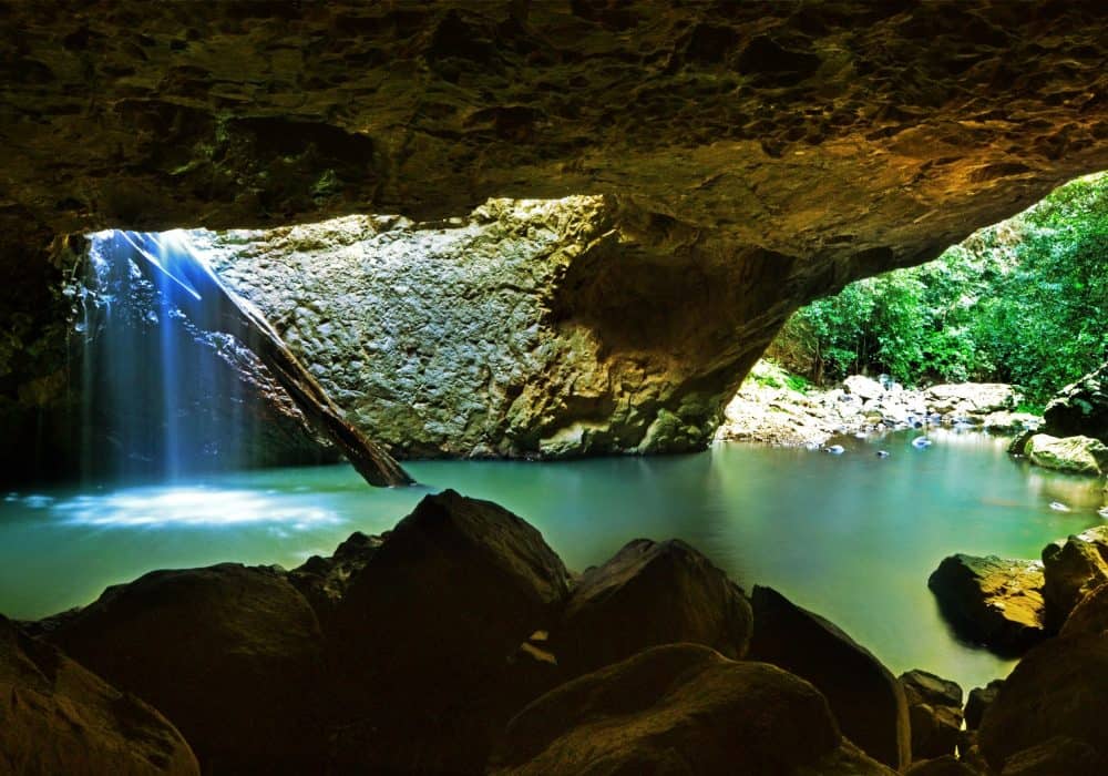 Springbrook