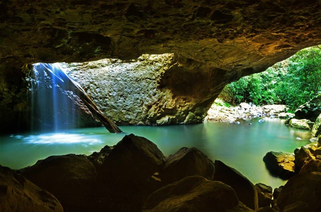 Springbrook