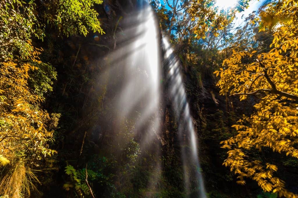 Springbrook