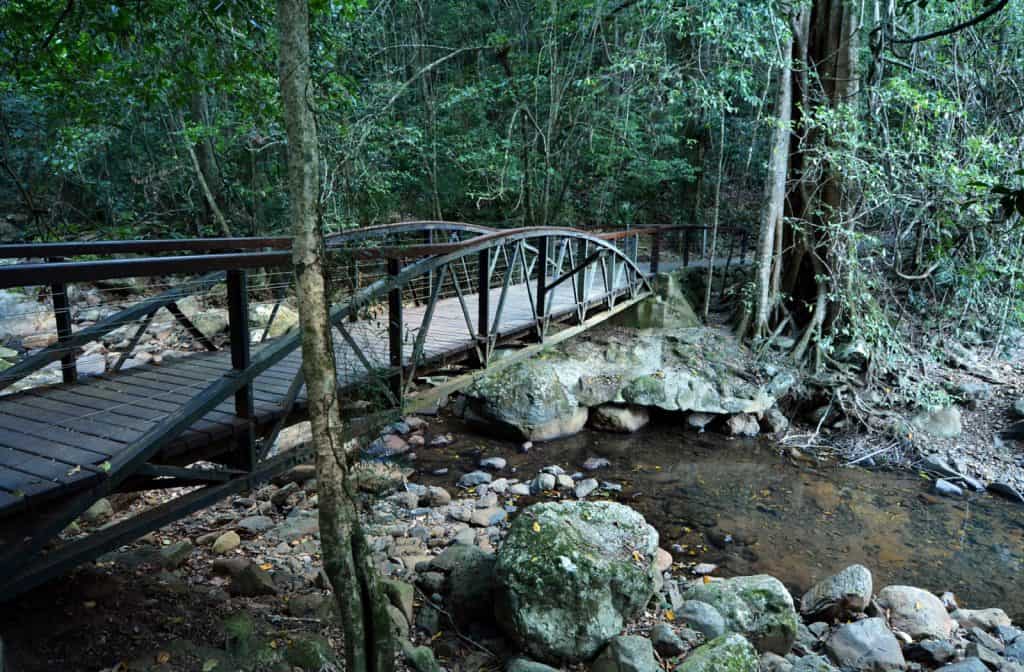 Springbrook